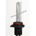 Xenon lemputė HB3 9005